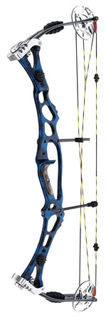 Hoyt Vectrix XL500 Target image